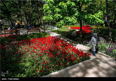 بوستان علی محمد مختاری در تهران