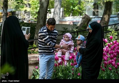 بوستان علی محمد مختاری در تهران