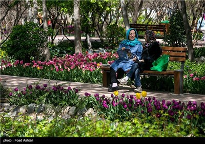 بوستان علی محمد مختاری در تهران