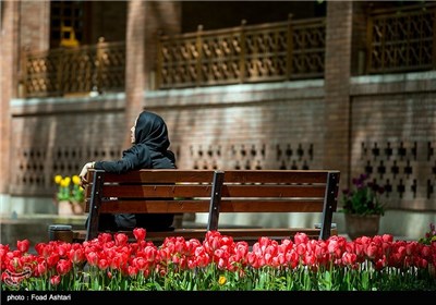 بوستان علی محمد مختاری در تهران