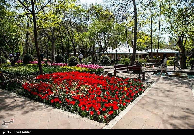 بهره‌برداری از 23 پارک محلی، منطقه‌ای و فرامنطقه‌ای تا پایان سال در تهران