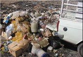 4.9 تن مواد غذایی فاسد در شهرستان گناوه جمع‌آوری شد