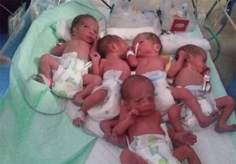 تولد 5 قلوها در شیراز؛ نوزادان در بخش مراقبت‌های ویژه هستند