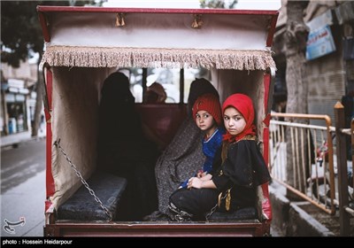 زندگی روزمره در هرات - افغانستان