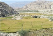 احیای کشاورزی استان خوزستان نقش اساسی در تحقق اقتصاد مقاومتی دارد