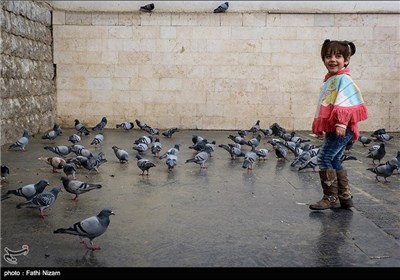 زندگی روزمره در دمشق - سوریه