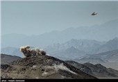 IRGC Forces Conclude 3-Day Drills in Southeast Iran