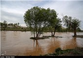 کارگروه تخصصی سیل و طغیان رودخانه‌ها در شهرستان سربیشه برگزار شد