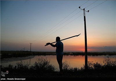 People in Flood-Hit Khuzestan Province in Southwestern Iran 