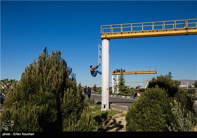 به تماشای شکارچی‌ها