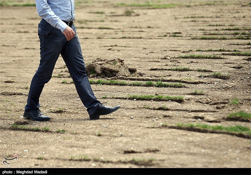 آغاز کشت بذر در زمین شماره 2 مرکز ملی فوتبال
