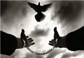 2 محکوم به قصاص در زندان بوشهر از مرگ نجات یافتند