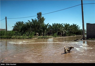 مناطق سیل زده شعبیه خوزستان