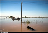 تنگ شدن حریم رودخانه شیراز خطر جاری شدن سیل را افزایش می‌دهد