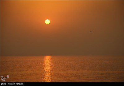 Iranians to Mark National Persian Gulf Day Friday