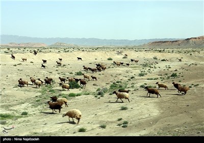 بازدید خبرنگاران از محور ریلی مشهد-سرخس