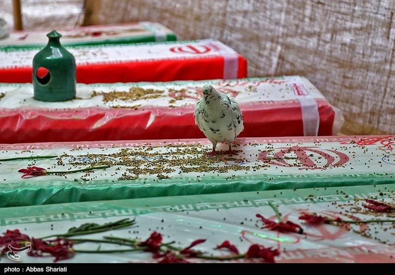 پوشش ویژه کنگره ملی 2300 شهید خمینی‌شهر از صداوسیمای مرکز اصفهان
