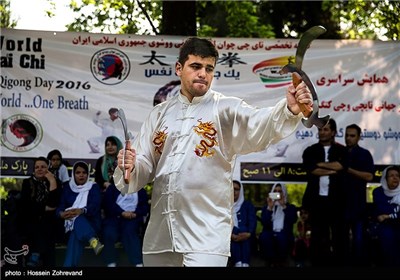 People in Tehran Observe World Tai Chi, Qigong Day