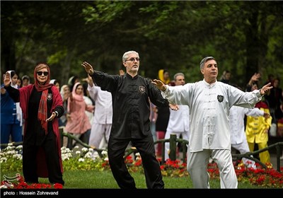 People in Tehran Observe World Tai Chi, Qigong Day