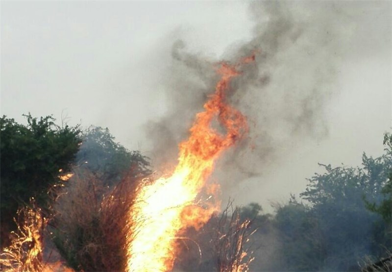آتش‌ به جان جنگل‌ها و مراتع گچساران/ منابع طبیعی گچساران با کمبود قرق‌بان روبه‌رو است