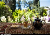 اردیبهشتهای عطرآگین شیراز؛ کوچه و خیابانها با نارنج و عطر بهارش درهم تنیده شد