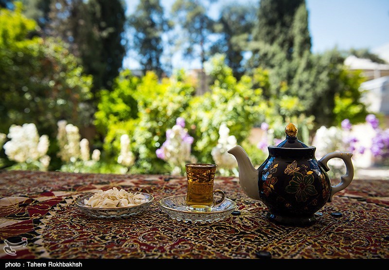 اردیبهشت‌های عطرآگین شیراز؛ کوچه و خیابان‌ها‌ با نارنج و عطر بهارش در‌هم تنیده شد