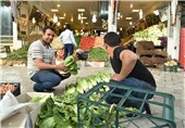 مراکز خرده فروشی بزرگ میوه در ایلام راه‌اندازی شود