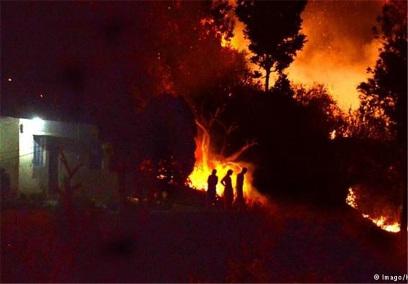 حداقل 7 کشته در آتش‌سوزی جنگل‌های «اوتارکند» هند+تصاویر