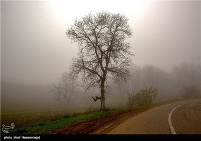 طبیعت بهاری شمال کشور