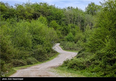 طبیعت بهاری شمال کشور