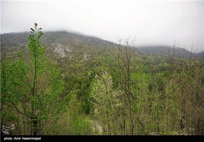 طبیعت بهاری شمال کشور