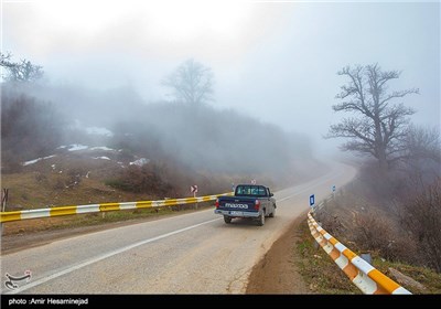 طبیعت بهاری شمال کشور