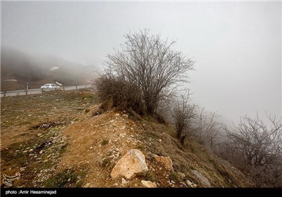 طبیعت بهاری شمال کشور