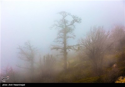 طبیعت بهاری شمال کشور