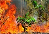 آتش‌سوزی در مراتع استان فارس 47 درصد کاهش یافت