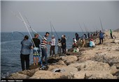 صدور پروانه صید ماهی با قلاب در شمال کشور آغاز شد