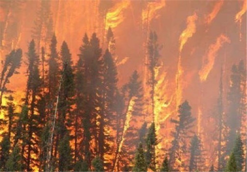 حرائق الغابات بکندا تستعر للیوم السابع على التوالی وتشرد مئات الآلاف
