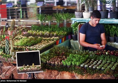 14th International Exhibition of Flowers, Plants Kicks Off in Tehran