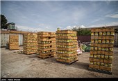 توقیف محموله قاچاق در بندر هندیجان/افتتاح پروژه‌های تعاون روستایی خوزستان