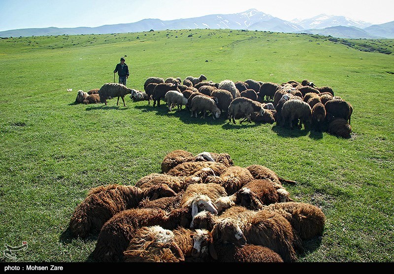 طبیعت بهاری اردبیل