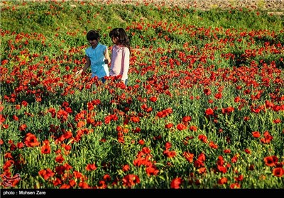 طبیعت بهاری اردبیل