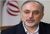 صالحی: اقتصاد ایران در حال اوج است/ مناسب ترین کشور برای سرمایه گذاران