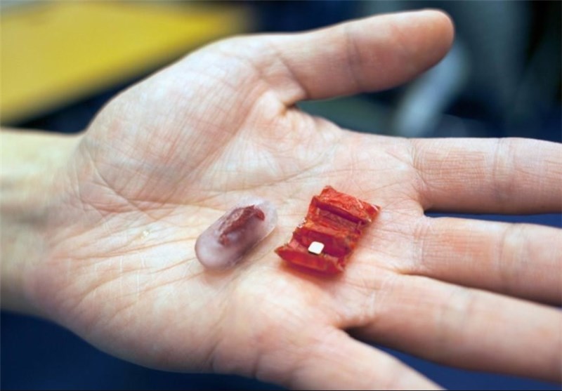 Tiny Origami Robot to Operate inside Stomach?