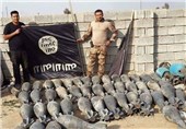 هلاکت ده‌ها داعشی، کشف تونل 500 متری و چند انبار تسلیحات در عراق
