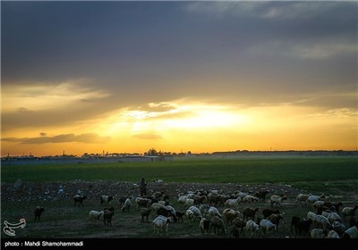 فصل الربیع فی مدینة ری