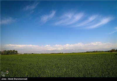 فصل الربیع فی مدینة ری