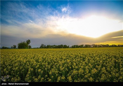 فصل الربیع فی مدینة ری