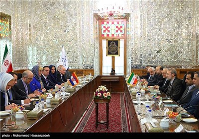 دیدار رئیس جمهور کرواسی با رئیس مجلس شورای اسلامی