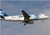 EgyptAir Black Box Search Zone Narrowed after Signal Detected: Source