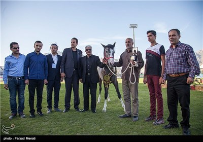 جشنواره اسب در کرمانشاه